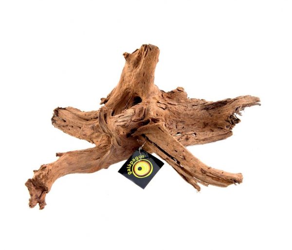 Galapagos Sinkable Driftwood Natural Medium 11-13in