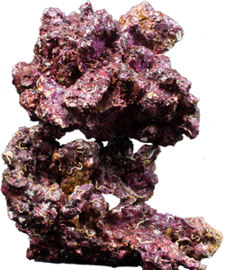 Real Reef Rock LG/XL 55lbs