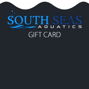 Gift Certificate