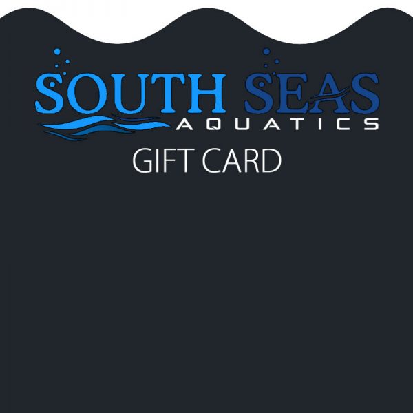 $100 Gift Certificate