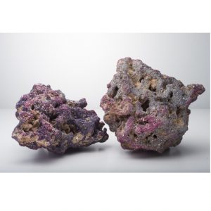 Life Rock 40 Lbs