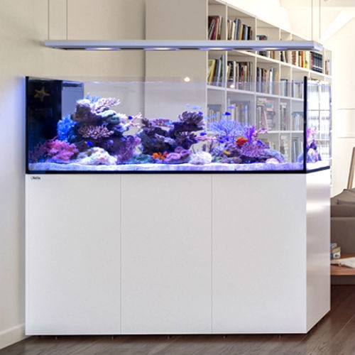 plus stå på række Universitet REEFER XXL 750 Aquarium System (160 GAL) Red Sea