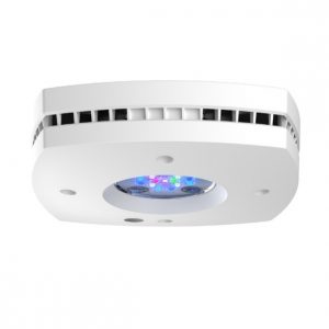 White Prime 16HD Reef