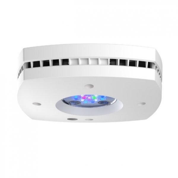 White Prime 16HD Reef