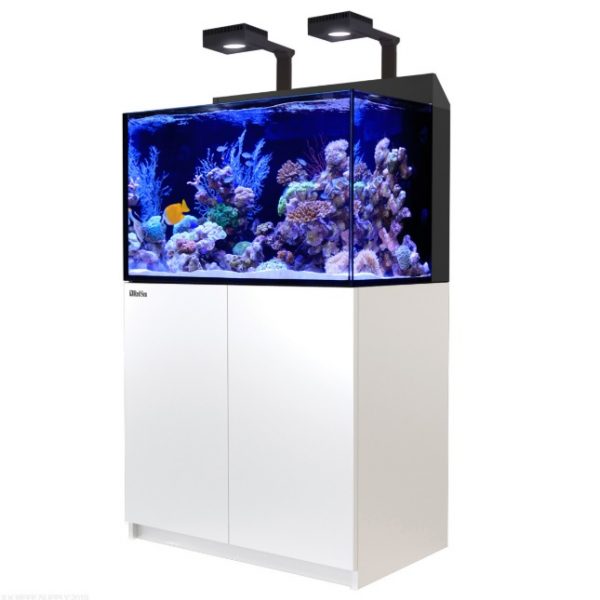 Max E-260 w/ ReefLED 90 LED White
