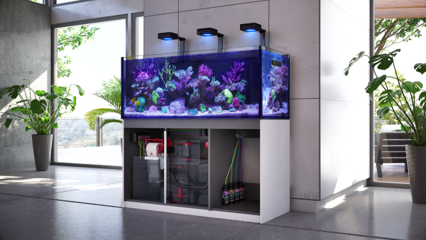 Reefer-S 1000 G2 Deluxe - Black (incl. 3 X RL 160 & mounting arms) - Image 4