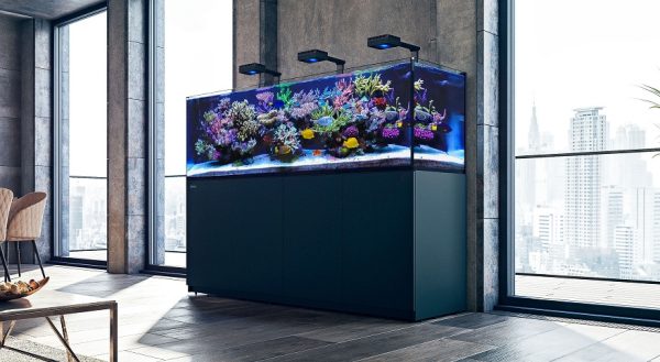 Reefer-S 1000 G2 Deluxe - Black (incl. 3 X RL 160 & mounting arms)