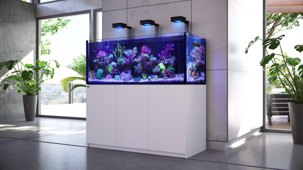 Reefer 3XL 900 G2 Deluxe - White (incl. 3 X RL 160 & mounting arms)