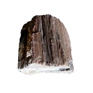 Wooden Fossil Stone (Petrified Wood Stone) 44lbs