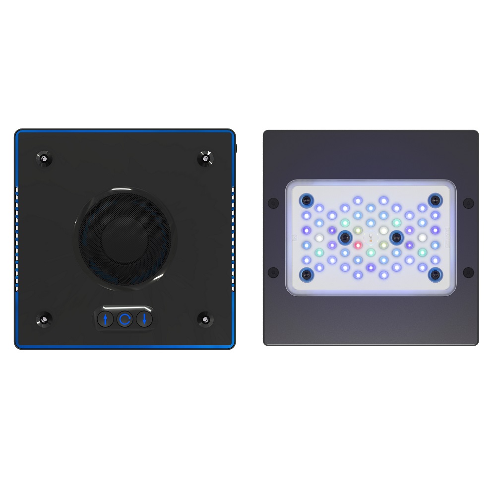 Radion XR15 G6 Blue