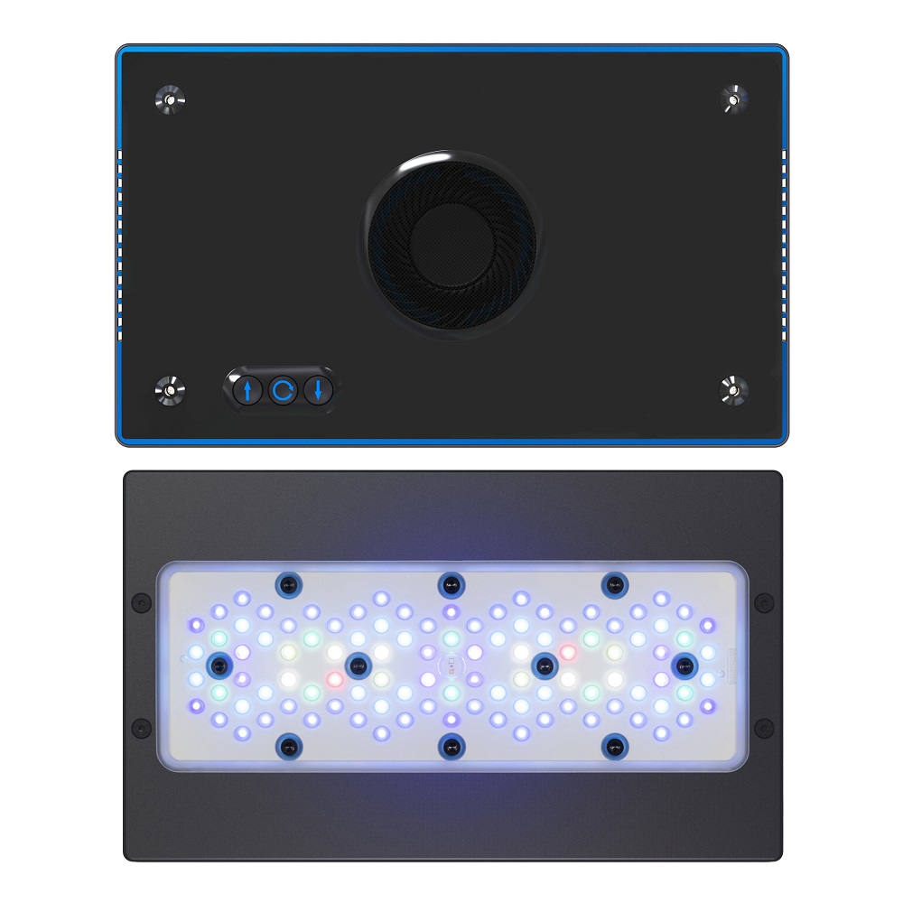 Radion XR30 G6 Blue