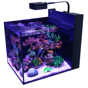 Max Nano Pennisula G2 tank only 26 gallon