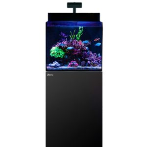 Max Nano G2 XL w/ black stand