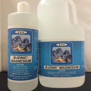 B-Ionic Magnesium 32oz