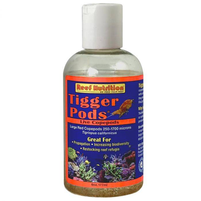 Tigger Pods 6oz (Live)