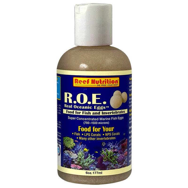 Real Ocean Eggs 6oz