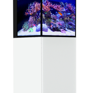 Max Nano G2 Pennisula W/ White Stand
