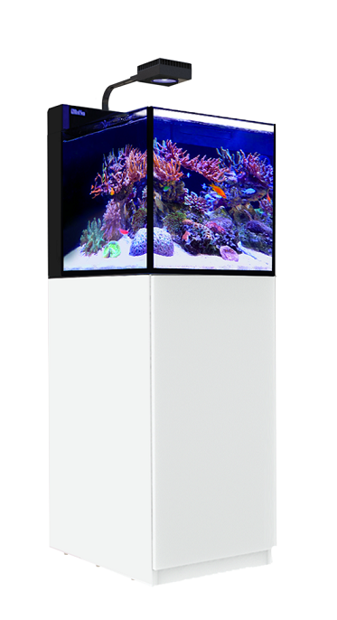Max Nano G2 Pennisula W/ White Stand