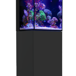 Max Nano W/Black Stand