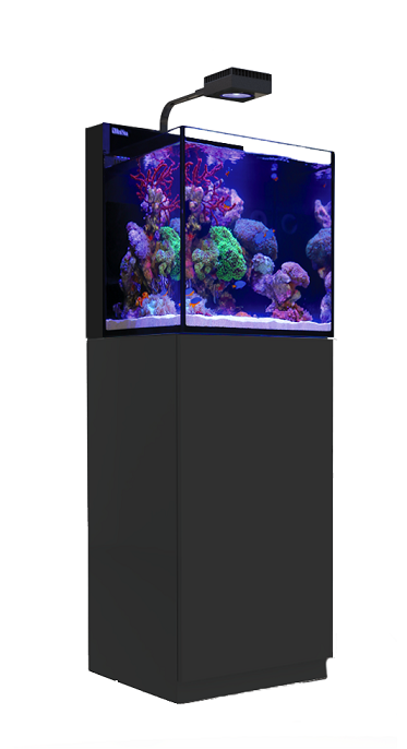 Max Nano W/Black Stand