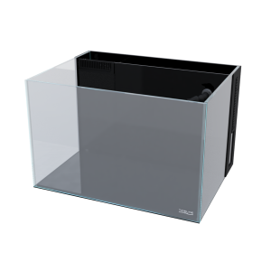 Lagoon 31 G2 Aquarium System